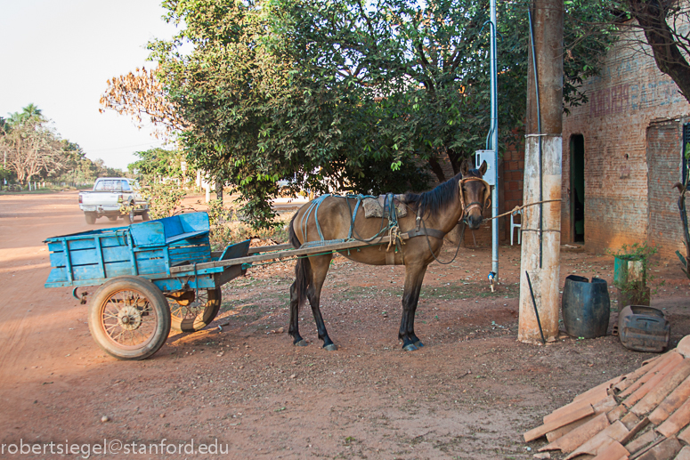 horse and cart